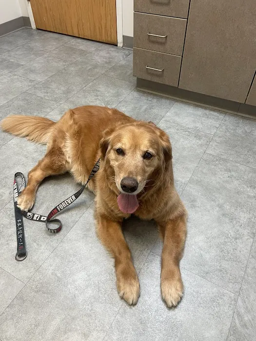 Penfield Veterinary Hospital 6