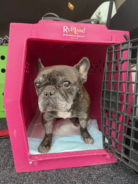 Rochester Emergency Veterinary Services 8