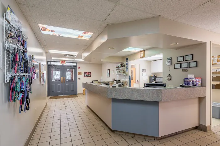 Brighton Animal Hospital, PC 2