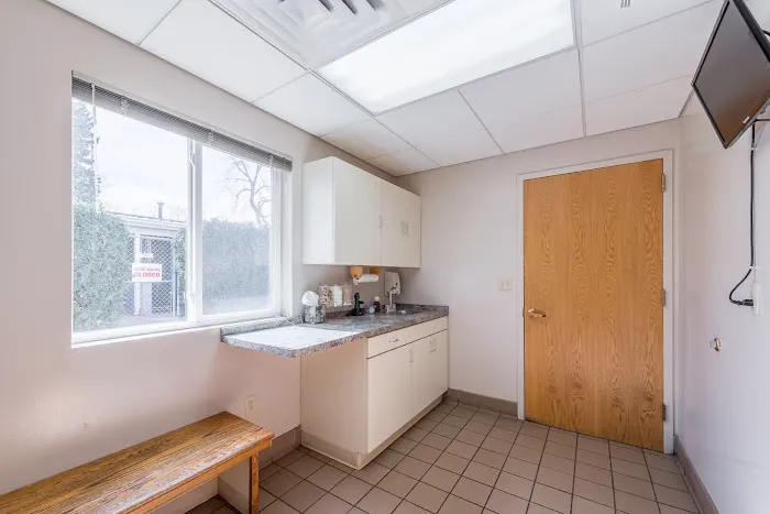 Brighton Animal Hospital, PC 9