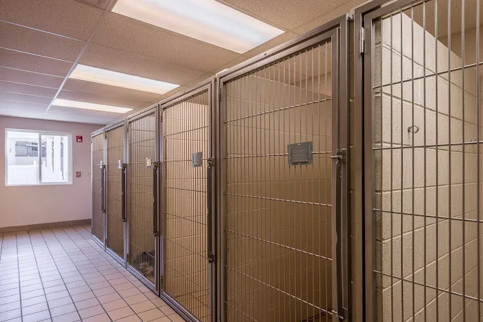 Brighton Animal Hospital, PC 10