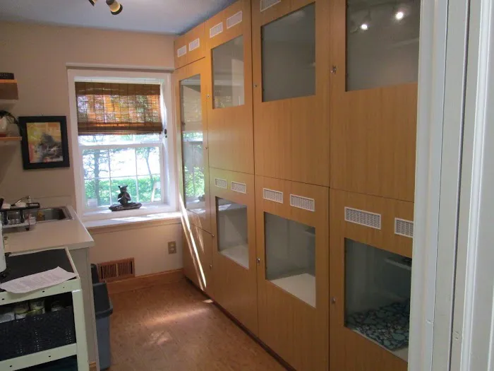 Cats Exclusively Veterinary Hospital 8