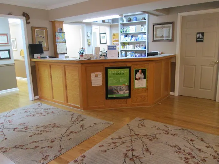 Cats Exclusively Veterinary Hospital 9