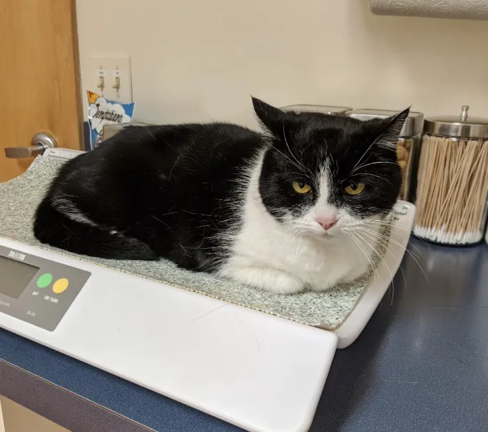 Mendon Village Animal Hospital 1