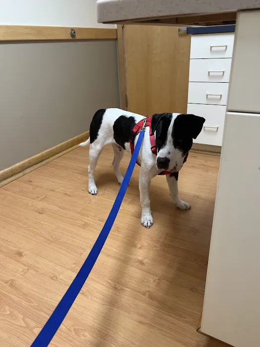 Mendon Village Animal Hospital 7