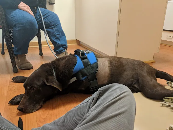 Mendon Village Animal Hospital 6