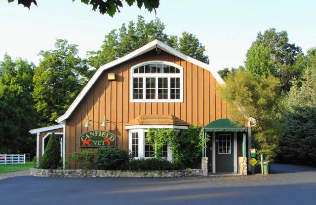 Canfield Vet, Dog and Cat Hospital 2