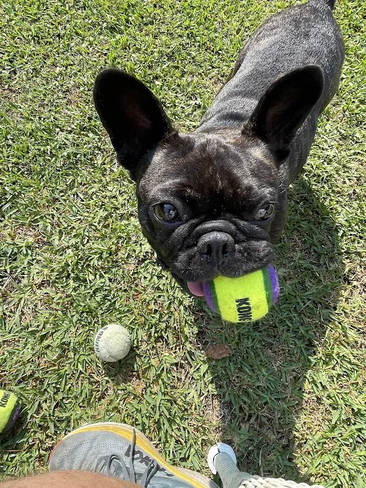 The Love Pet Clinic 6