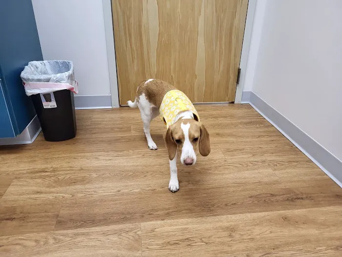 Dunes Veterinary Clinic 1