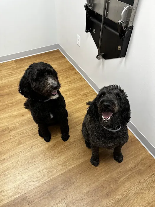 Dunes Veterinary Clinic 9