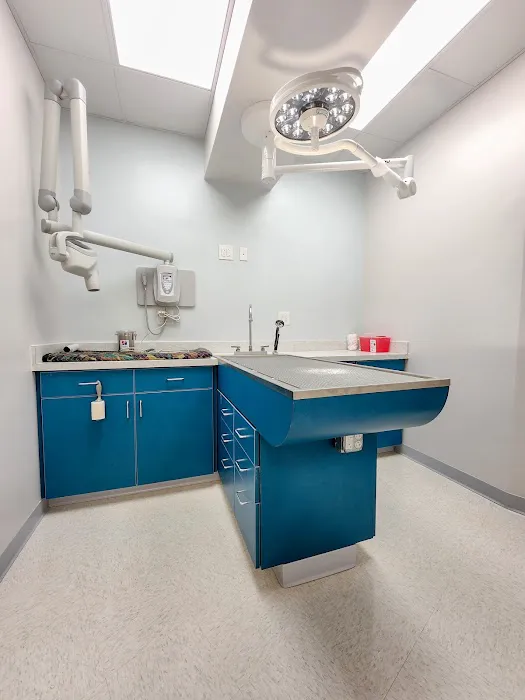 Dunes Veterinary Clinic 5