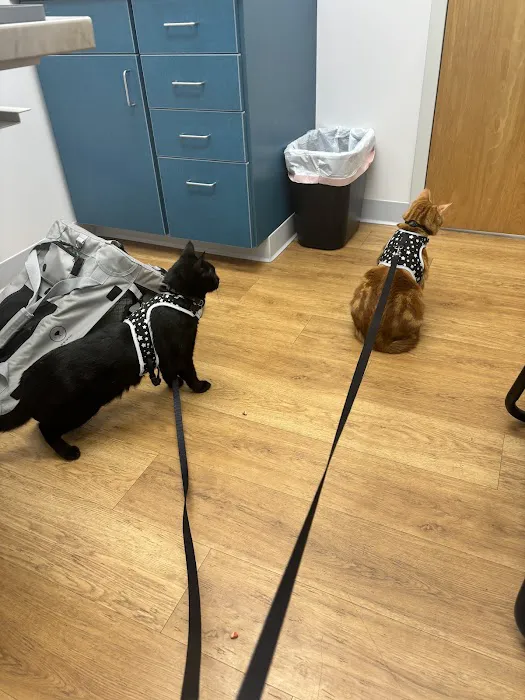 Dunes Veterinary Clinic 10