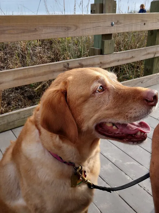 Coastal Veterinary Care 1