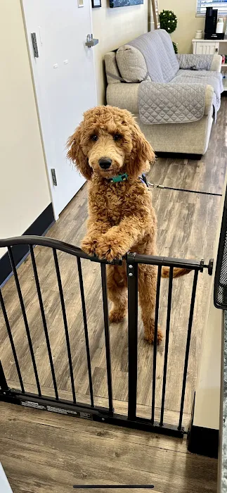 Coastal Veterinary Care 9