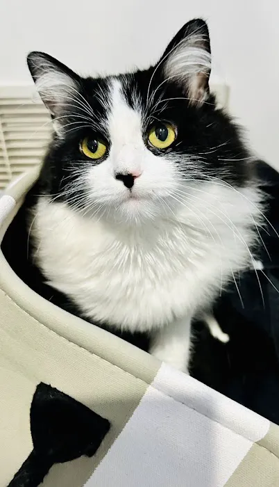 Coastal Veterinary Care 10