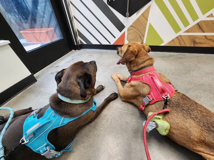 River Oaks Animal Hospital 2
