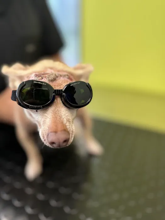 River Oaks Animal Hospital 7