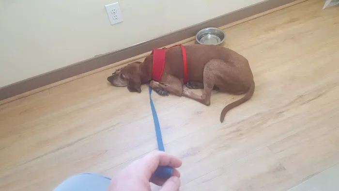 Columbus Veterinary Clinic 5