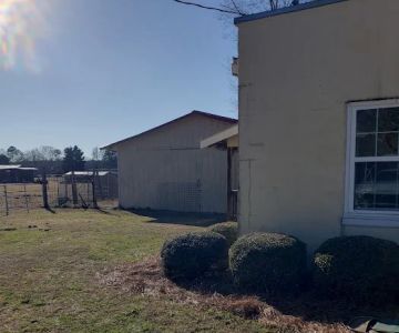 Columbus Veterinary Service : Dr. Burroughs DVM