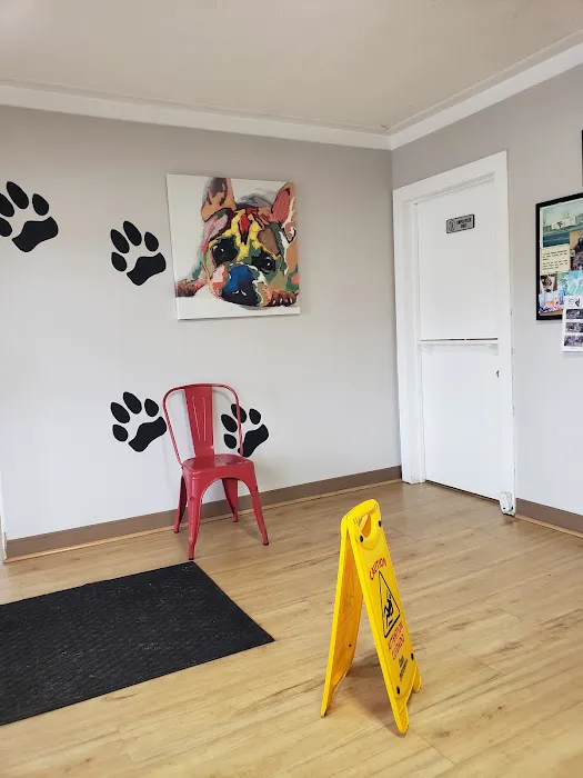 Columbus Veterinary Service : Dr. Burroughs DVM 4