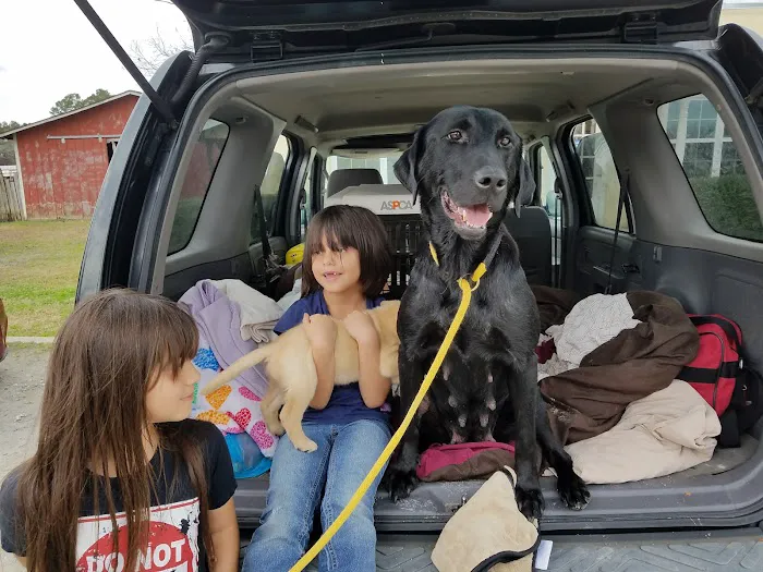 Columbus Veterinary Service : Dr. Burroughs DVM 8