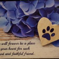 animal hospital of south columbus ico