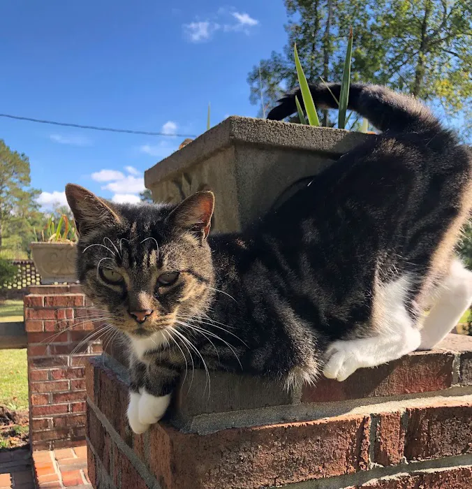 Elizabethtown Veterinary Hospital 3