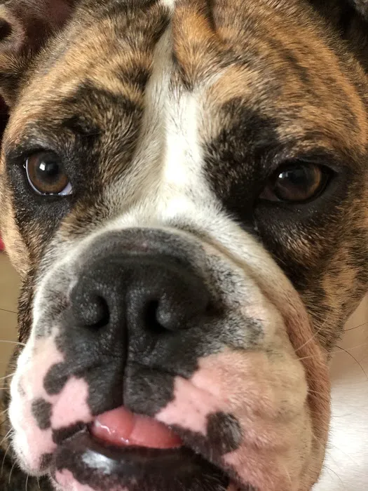 Elizabethtown Veterinary Hospital 1