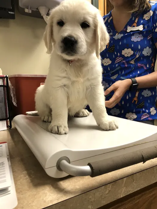 Elizabethtown Veterinary Hospital 6