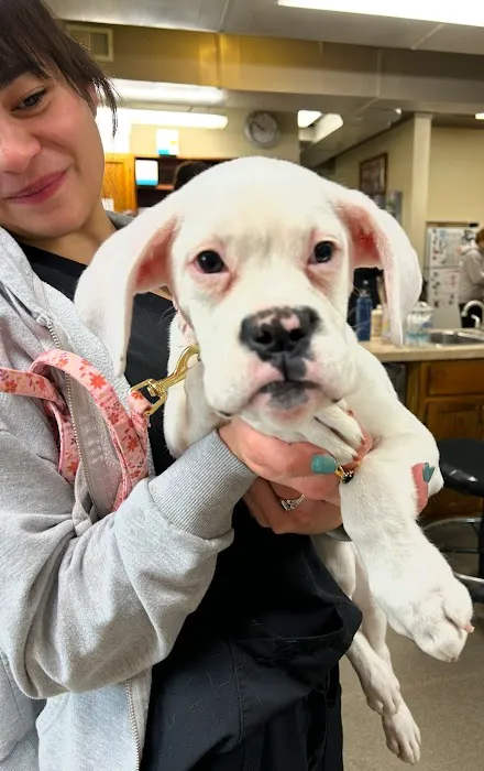 Elizabethtown Veterinary Hospital 10