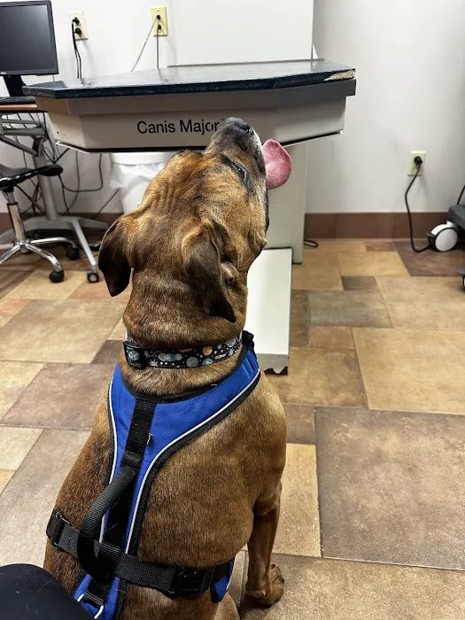 Pineview Veterinary Hospital 4