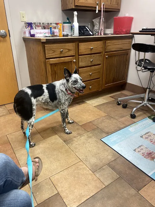 Pineview Veterinary Hospital 8