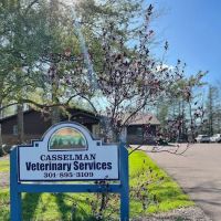 Casselman Veterinary Services ico