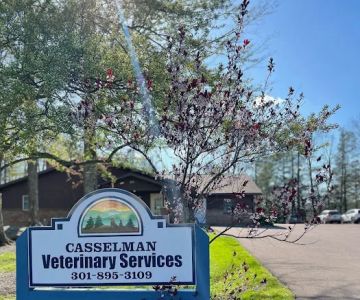 Casselman Veterinary Services