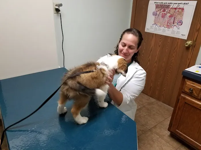 Casselman Veterinary Services 10