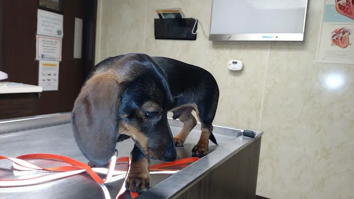 Ridgeview Veterinary Clinic 9