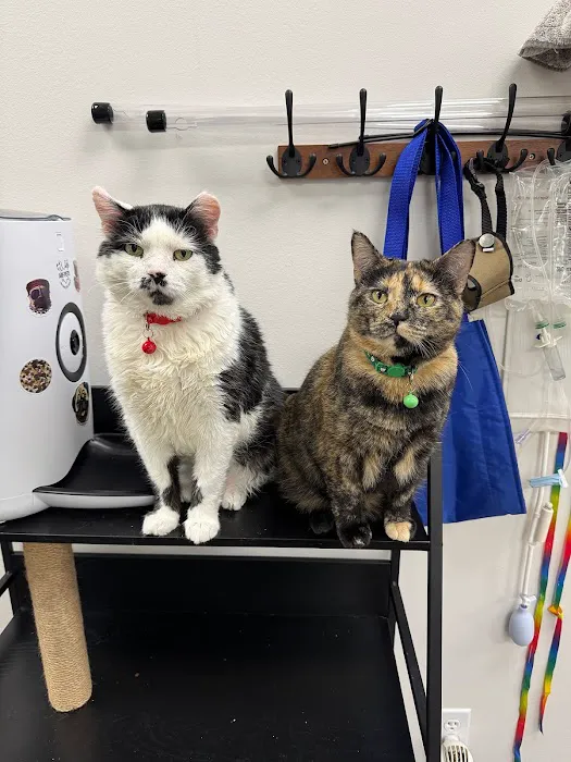 East Market Veterinary Center 3
