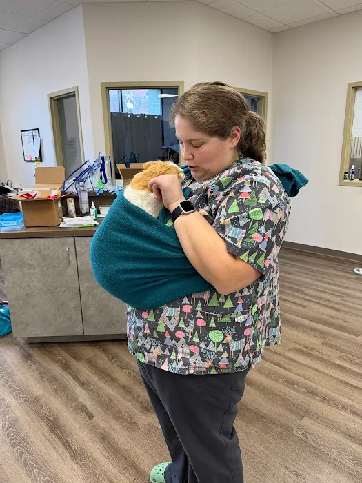 East Market Veterinary Center 10