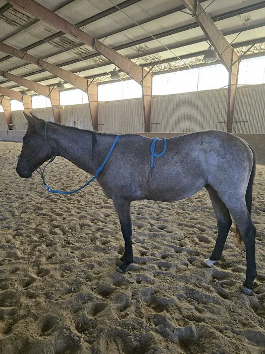 Brown Equine Hospital 2