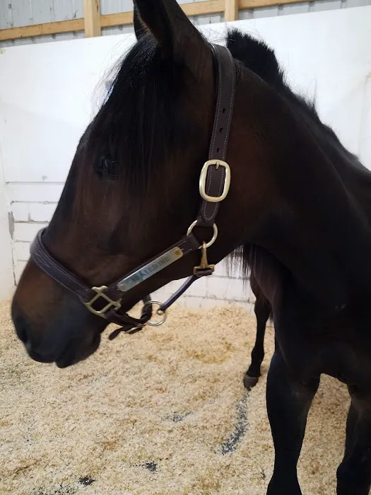 Brown Equine Hospital 1
