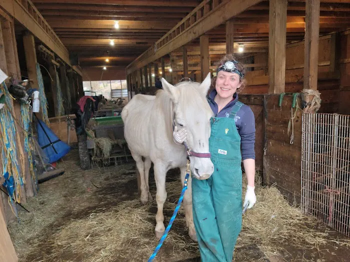 Laurel Highlands Animal Health 1