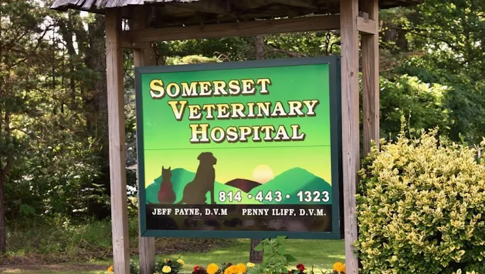 Somerset Veterinary Hospital 3