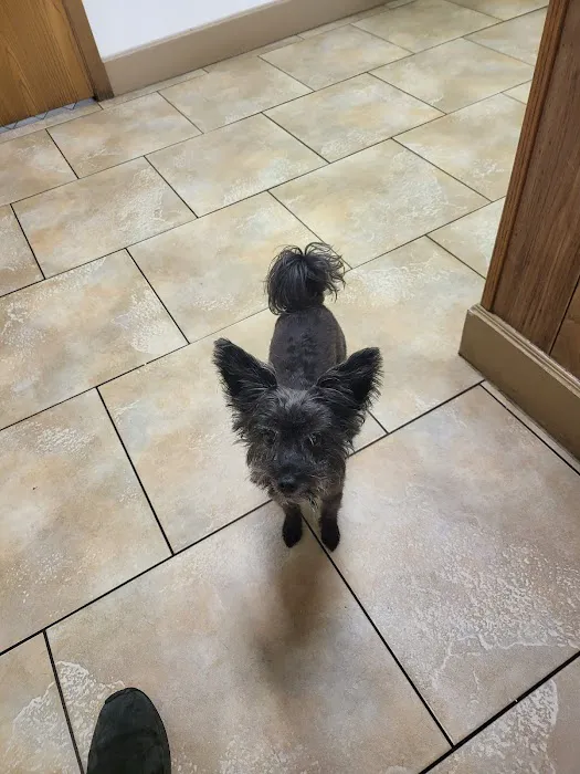 Somerset Veterinary Hospital 8