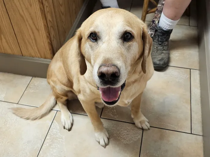 Somerset Veterinary Hospital 7