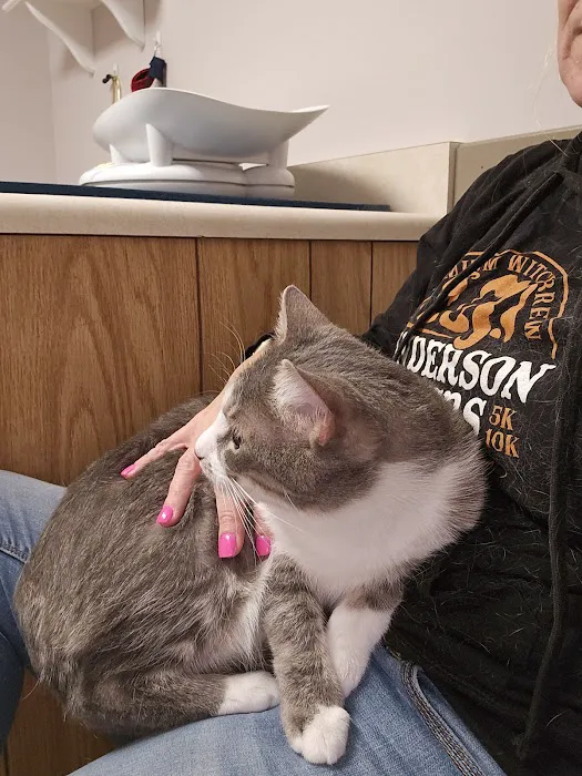 Somerset Veterinary Hospital 9