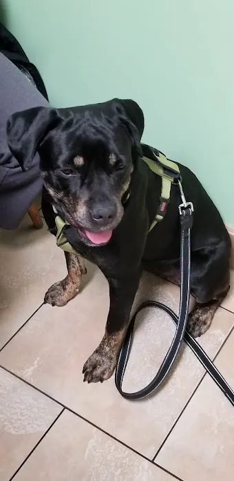 Somerset Veterinary Hospital 10