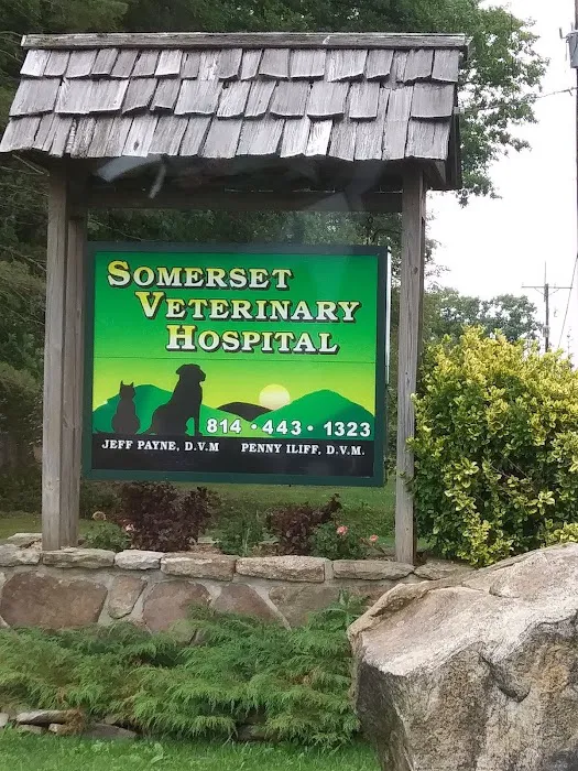 Somerset Veterinary Hospital: Penny Iliff, DVM 3