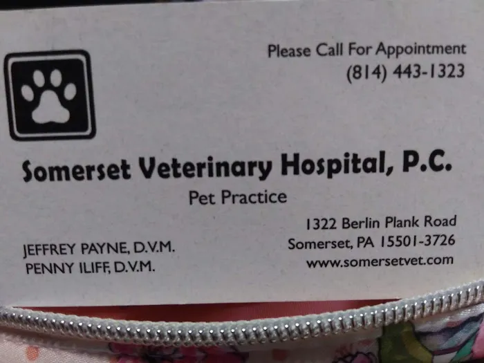 Somerset Veterinary Hospital: Penny Iliff, DVM 4