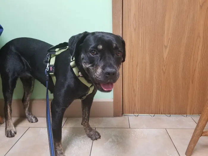 Somerset Veterinary Hospital: Jeff Payne, DVM 1