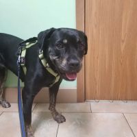 Somerset Veterinary Hospital: Jeff Payne, DVM ico